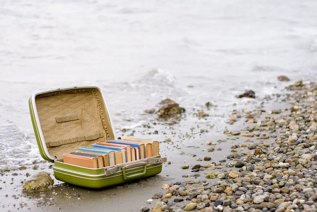 Dichiarazione d’intenti di un lettore balneare (più o meno)